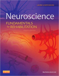 Image of Neuroscience Fundamentals for Rehabilitation Fourth Edition