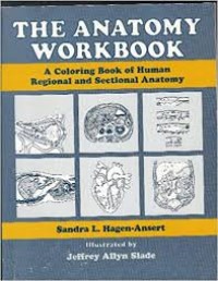 Image of The Anatomy Workbook a coloring book of human regional and sectional anatomy