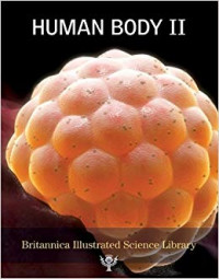 Image of Human Body II