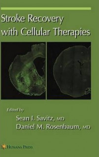 Image of Stroke Recovery and Rehabilitation
